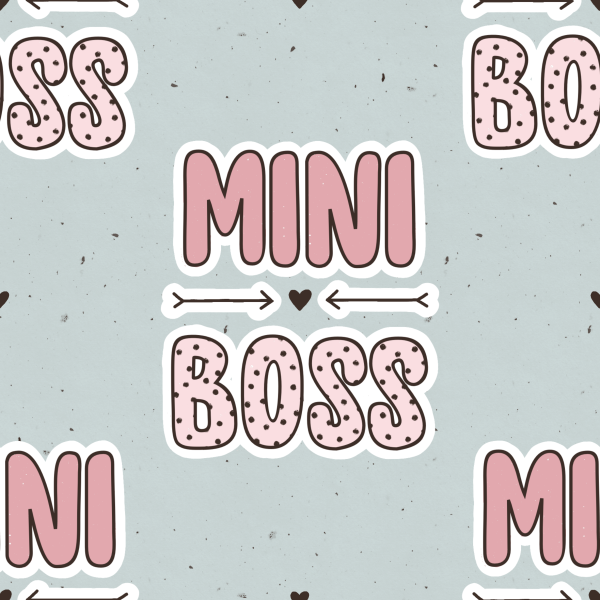 Eigenproduktion - Mini Boss - mint/rosa - Baumwolljersey